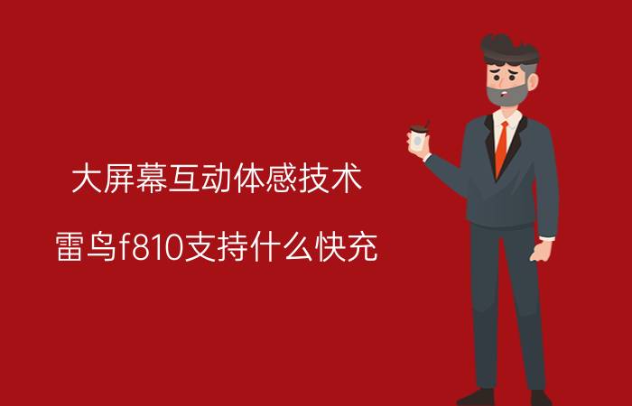 大屏幕互动体感技术 雷鸟f810支持什么快充？